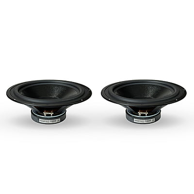 DE1000-01 Woofer 10" 4 Ohms 100 Watts (2 Pcs)