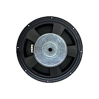 DE1000-01 Woofer 10" 4 Ohms 100 Watts (1 Pcs)