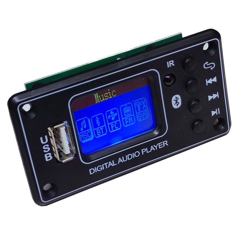 SK25 Dotted LCD MP3 Module